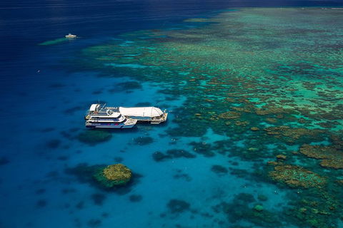 Great Barrier Reef Adventure From Cairns - Travel Search 4