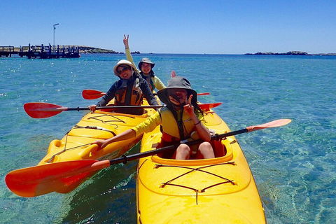 Penguin And Seal Islands Sea Kayaking Experience - Cruises Travel 4