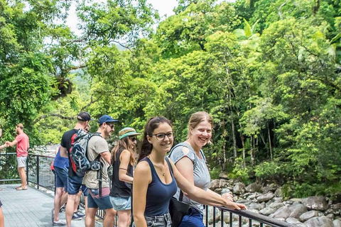 Cape Tribulation, Mossman Gorge, And Daintree Rainforest Day Trip From Cairns Or Port Douglas - Tourism Guide 0
