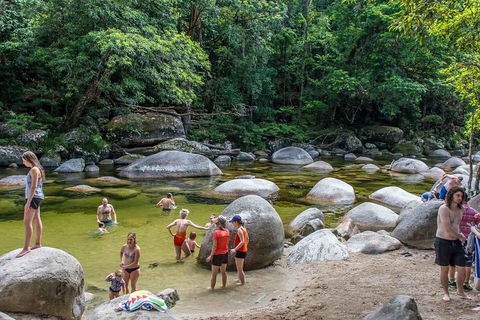 Cape Tribulation, Mossman Gorge, And Daintree Rainforest Day Trip From Cairns Or Port Douglas - Tourism Guide 1
