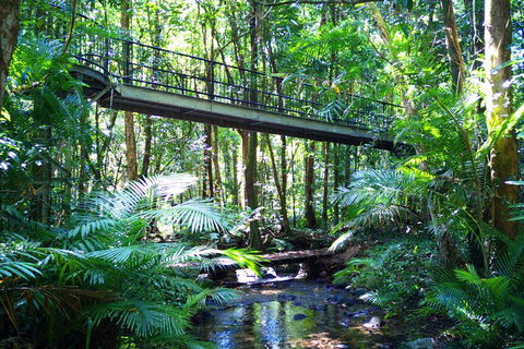 Cape Tribulation, Mossman Gorge, And Daintree Rainforest Day Trip From Cairns Or Port Douglas - Tourism Guide 3