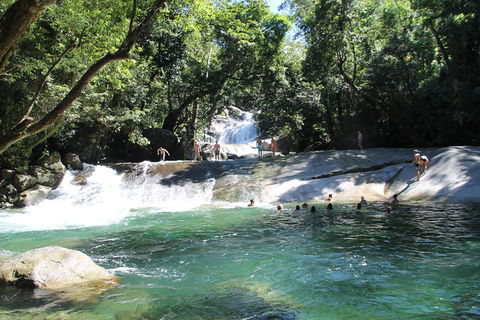 Double Pack-Ancient Rainforest And Waterfalls! - Travel Search 2