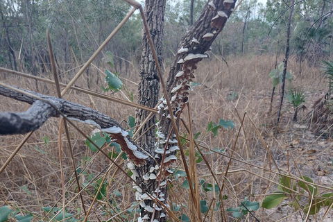 One Day Litchfield Park Adventures - Travel Agents 3