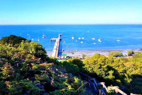 Mornington Peninsula Sightseeing Tour For 2-6 Guests. - Tourism Guide 1