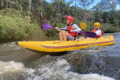 Yarra River Half-Day Rafting Experience - Tourism Guide 1