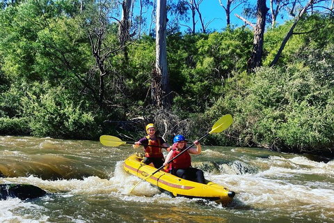 Yarra River Half-Day Rafting Experience - Tourism Guide 2