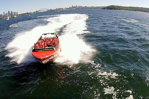 Sydney Harbour Jet Boat Thrill Ride: 30 Minutes - Tourism Guide 0