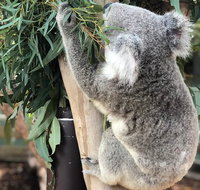 Private Blue Mountains and Wildlife Park Tour from Sydney with Barbecue Lunch - Tourism Guide