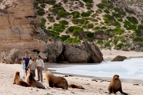 Kangaroo Island Scenic Trail Tour - Tourism Guide 5