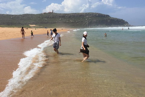 Small-Group Sydney's Northern Beaches And Ku-ring-gai National Park Bus Tour - Tourism Guide 5