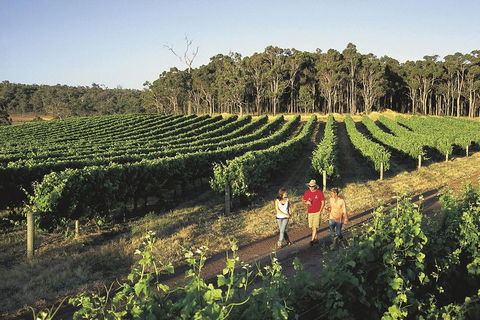 Margaret River, Caves, Wine And Cape Leeuwin Lighthouse Tour From Perth - Tourism Guide 1