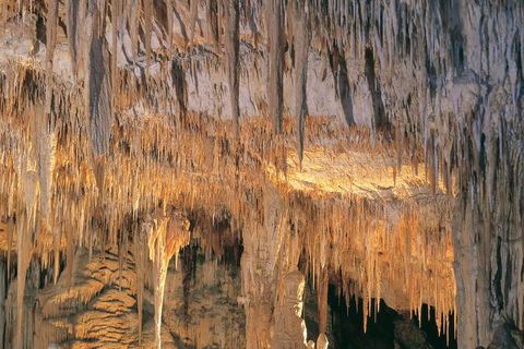 Margaret River, Caves, Wine And Cape Leeuwin Lighthouse Tour From Perth - Tourism Guide 3