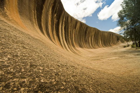 Wave Rock, York, Wildflowers, And Aboriginal Cultural Day Tour From Perth - Tourism Guide 0