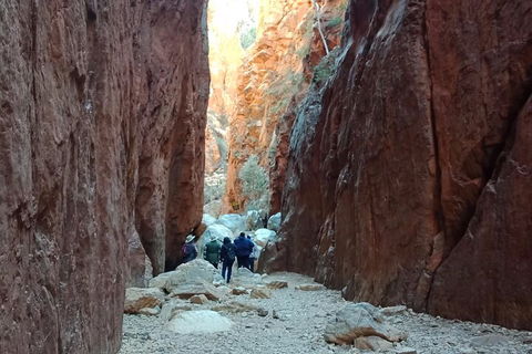 West MacDonnell Private Tour With Transfer - Tourism Guide 0