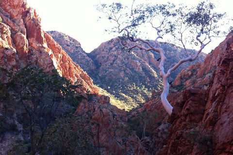 West MacDonnell Private Tour With Transfer - Tourism Guide 3