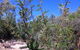 West MacDonnell Private Tour With Transfer - thumb 5
