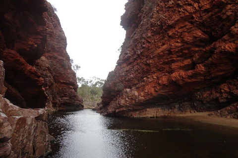 West MacDonnell Ranges Half - Day Tour - Tourism Guide 4