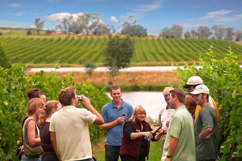 Yarra Valley Wine And Winery Tour From Melbourne - Travel Agents 0