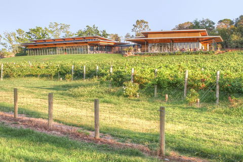 Yarra Valley Wine And Winery Tour From Melbourne - Travel Agents 1