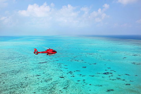Port Douglas - Cruise And 10 Minute Scenic Flight - Cruises Travel 1