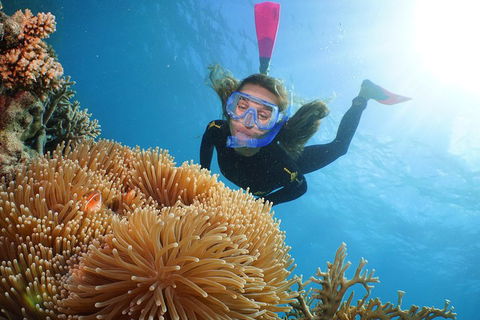 Port Douglas - Cruise And 10 Minute Scenic Flight - Cruises Travel 3