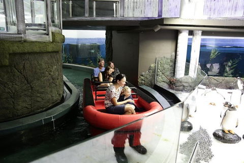 Sydney Attractions Pass: SEA LIFE Aquarium, Sydney Tower Eye, WILD LIFE Zoo And Madame Tussauds - Cruises Travel 0