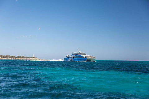 Fremantle To Rottnest Island Roundtrip Ferry Ticket - Travel Agents 5