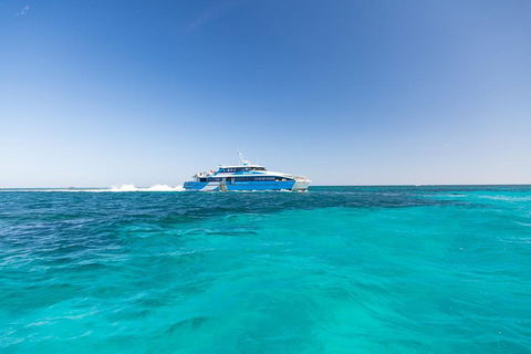 Rottnest Island Bike & Ferry Package From Fremantle - Travel Agents 0