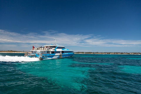 Perth To Rottnest Island Roundtrip Ferry Ticket - Travel Search 4