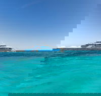 Rottnest Island Bayseeker Day Trip from Perth - Tourism Guide