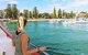 Sydney Harbour Hop On Hop Off Cruise With Taronga Zoo Entry - thumb 1