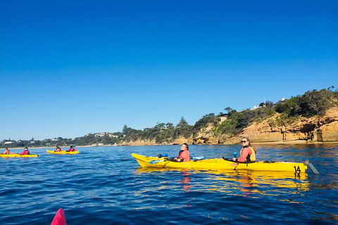 Mornington Peninsula Kayak Coastline Tour Of Dolphin Sanctuary - Tourism Guide 1