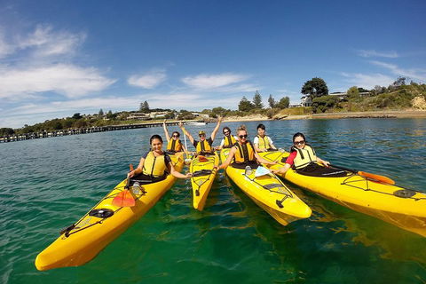 Mornington Peninsula Kayak Coastline Tour Of Dolphin Sanctuary - Tourism Guide 2
