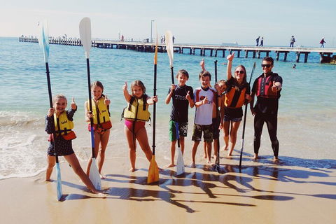 Mornington Peninsula Kayak Coastline Tour Of Dolphin Sanctuary - Tourism Guide 3