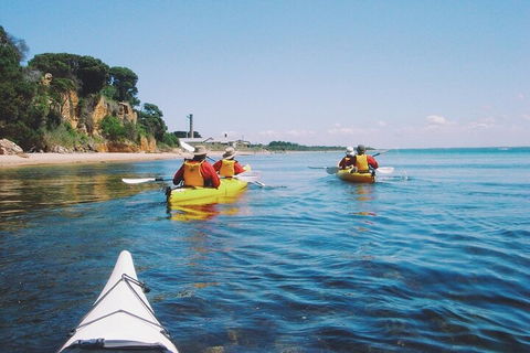 Mornington Peninsula Kayak Coastline Tour Of Dolphin Sanctuary - Tourism Guide 5