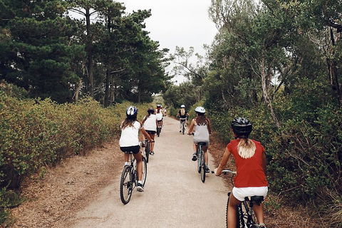 Self-Guided Point Nepean National Park Bike Hire - Travel Agents 3