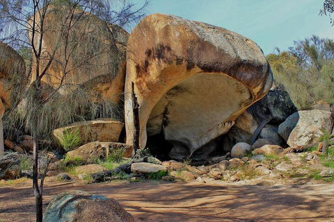 Wave Rock Half Day Air & Ground Tour - Tourism Guide 1