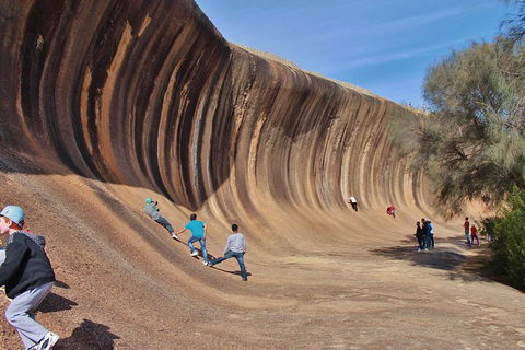 Wave Rock Half Day Air & Ground Tour - Tourism Guide 2