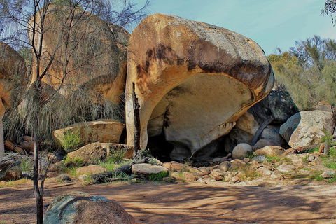 Wave Rock And Pinnacles Air & Ground Tour - Tourism Guide 3