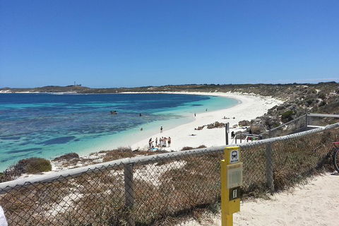 Wave Rock, Pinnacles And Rottnest One Day Aeroplane Tour - Tourism Guide 2