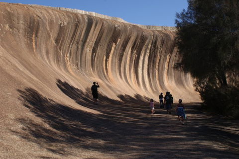 Wave Rock, Pinnacles And Rottnest One Day Aeroplane Tour - Tourism Guide 4