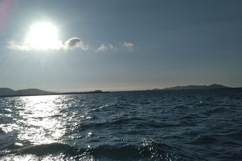 Townsville Small Group Early Morning Sailing Cruise Boat Tour Charter Hire - Travel Agents 4