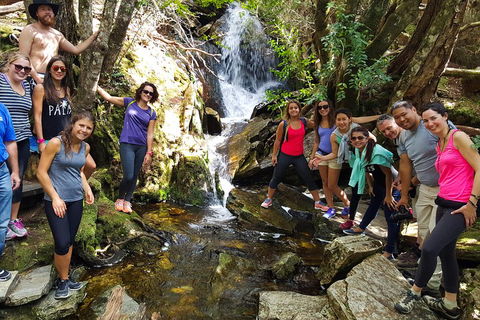 7-Day Super Value Tour Of Tasmania: Explore Tasmania's West And East Coasts - Travel Agents 2