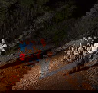 Alice Springs Desert Park Nocturnal Tour - Tourism Guide