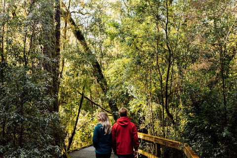 Gordon River Cruise Departing From Strahan - Travel Search 2