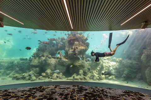 Whitehaven Beach And Daydream Island Cruise - Tourism Guide 4