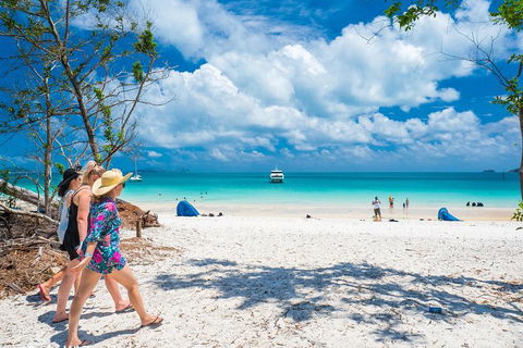Whitehaven Beach Half-Day Cruises - Tourism Guide 1