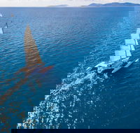 2-Night Whitsunday Islands Sailing Adventure on Trimaran Avatar - Tourism Guide