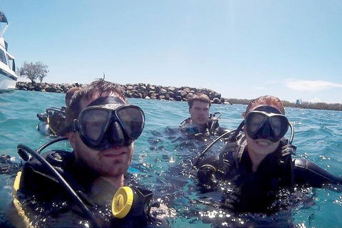 Wave Break Island Scuba Diving On The Gold Coast - Tourism Guide 0