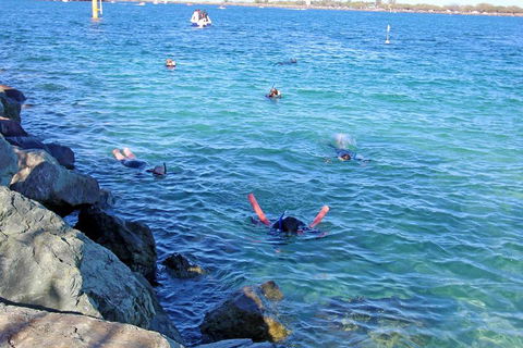 Wave Break Island Scuba Diving On The Gold Coast - Tourism Guide 1